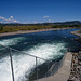 Snake River Below Jackson Lake Dam (3665)