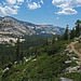 On The Trail to May Lake (0760)