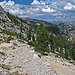 On The Trail to May Lake (0761)