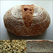 Hanf-Brot / Hennepbrood