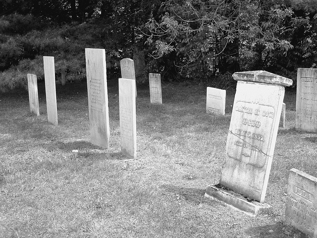 Cimetière de Johnson  /  Johnson's cemetery -   Vermont .  USA /  États-Unis.  23 mai 2009 - N & B