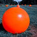 orange balloon