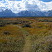 Tetons From Cunningham Cabin (3728)