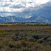 Tetons Viewed From Cunningham Cabin (1549)