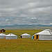 Ger camp in Bayan-Adraga near Binder