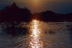 Sunset at the Tonlé Sap