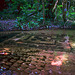 Holy Riverbed Carvings at Phnom Kulen