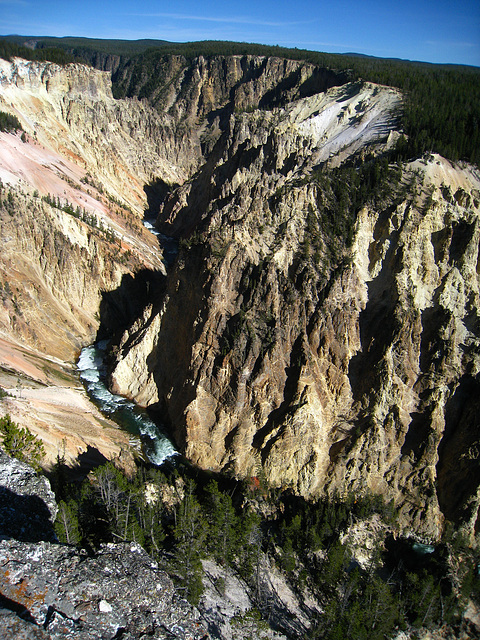 Grand Canyon of the Yellowstone River (4175)