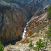 Grand Canyon of the Yellowstone River (4184)