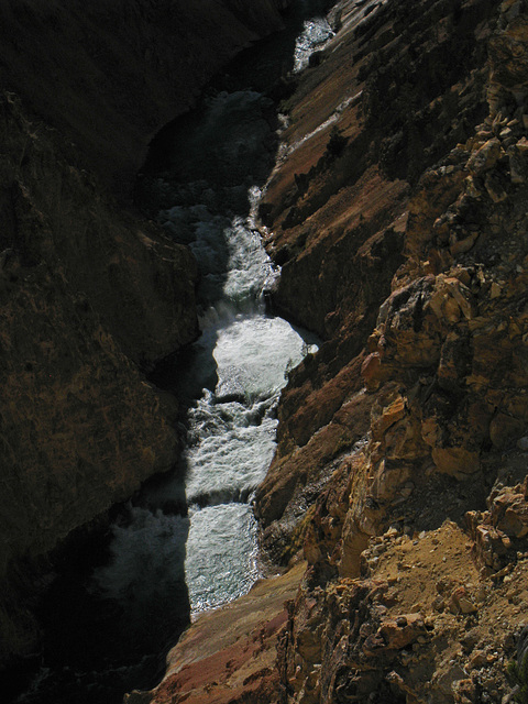 Grand Canyon of the Yellowstone River (4185)