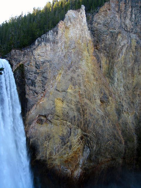 Grand Canyon of the Yellowstone River (4219)