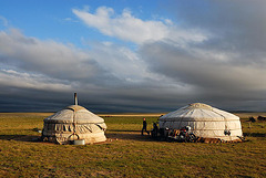 Invitation by a Mongolian nomadic family