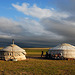 Invitation by a Mongolian nomadic family