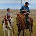 Mongolian Horses - The Majesty of the Asian Steppes