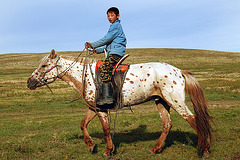 The young boy on his horse