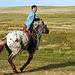 Mongolian horse rider boy