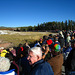 Crowd For Old Faithful (3999)