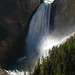 Lower Falls On The Yellowstone River (4169)