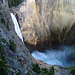 Lower Falls On The Yellowstone River (4207)