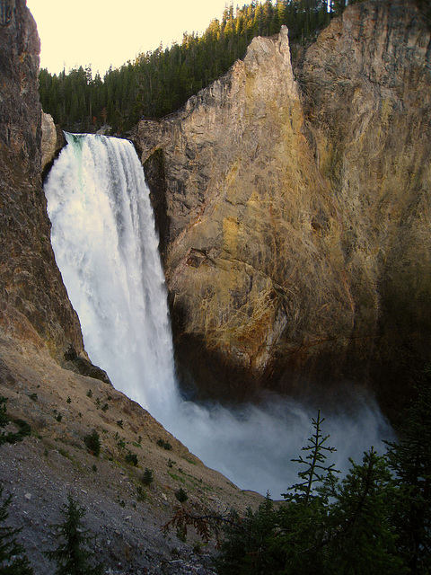 Lower Falls On The Yellowstone River (4212)