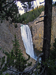 Lower Falls On The Yellowstone River (4226)
