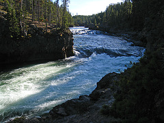Above The Upper Falls On The Yellowstone River (4191)