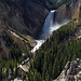 Yellowstone River Lower Falls (1651)