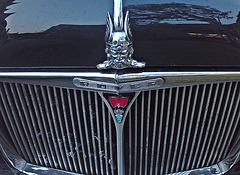 Rover Grille