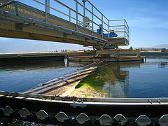 Horton Wastewater Treatment Plant (3464)