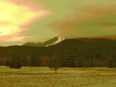 Région de Whiteface Mountain /  Whiteface mountain area . NY - USA  - March 29th 2009 -  Sepia photofiltré