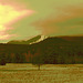 Région de Whiteface Mountain /  Whiteface mountain area . NY - USA  - March 29th 2009 -  Sepia photofiltré