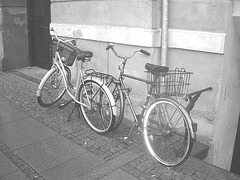 Duo de vélos bleus /  Blue bikes duo -  Copenhague / Copenhagen.  26-10-08  - N & B