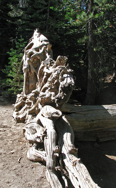 Devils's Postpile National Monument (0514)