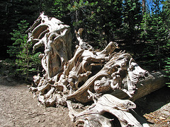 Devils's Postpile National Monument (0515)