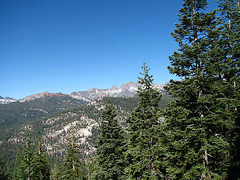 On the way to Devil's Postpile (0489)