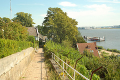 entlang der Elbe106