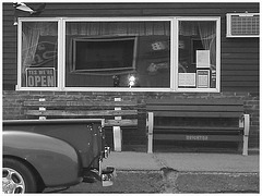 Bancs et derrière de camion bleu /  Benches and blue rear truck.   Brighton.  USA.   23 -05-2009 -  Yes we're open.  N & B