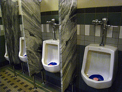 Lake Yellowstone Hotel Urinals (4135)
