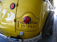 Yellow Bus at Lake Yellowstone Hotel (4123)
