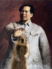 Mao squirrelized