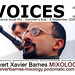 Voices1.TranceVocals.September2009