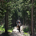 On The Trail To Glen Aulin (0618)