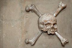 Skull 'n Bones