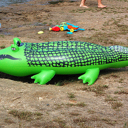 Verda krokodilo