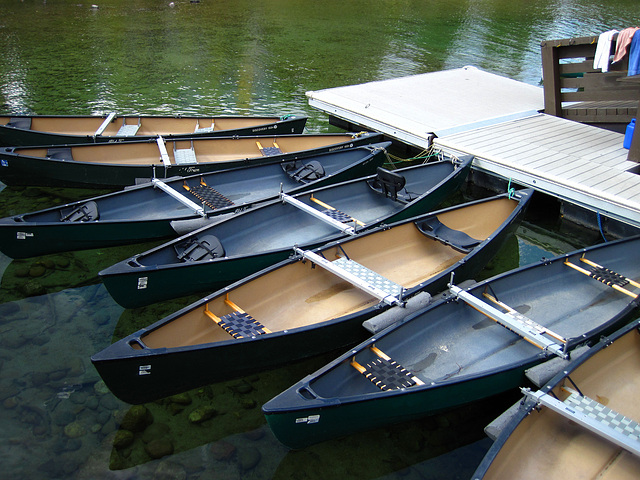 Canoes For Rent On Jenny Lake (0649)