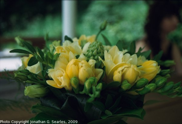 Wedding Flowers, Picture 2, Sychrov, Liberecky Kraj, Bohemia (CZ), 2009