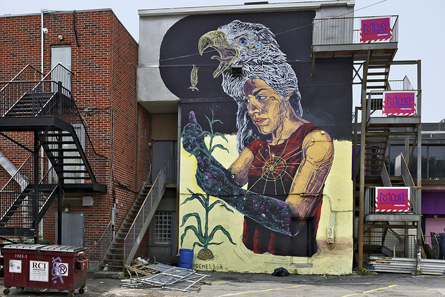 Hochelaga – Saint Lawrence Boulevard Below Prince Arthur, Montréal, Québec