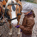 ĉevaloj ŝatas knabinojn - Pferde mögen Mädchen