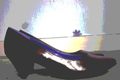 Elisa  / Reflet de chaussures / Shoes glint -   Avec / With  permission - Inversion RVB-BVR et postérisation