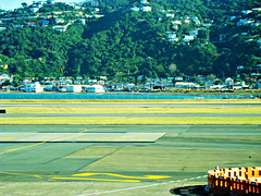 Lyall Bay from Wellington Airport